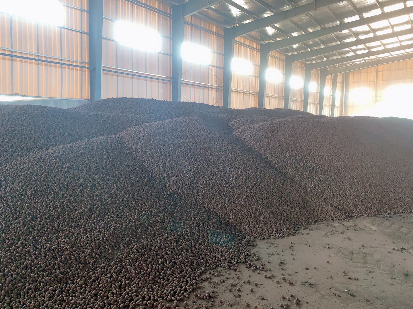 江西撫州屋面保溫找坡陶粒10-30mm,江西陶粒工廠直銷全國 江西撫州屋面保溫找坡陶粒10-30mm,江西陶粒工廠直銷全國