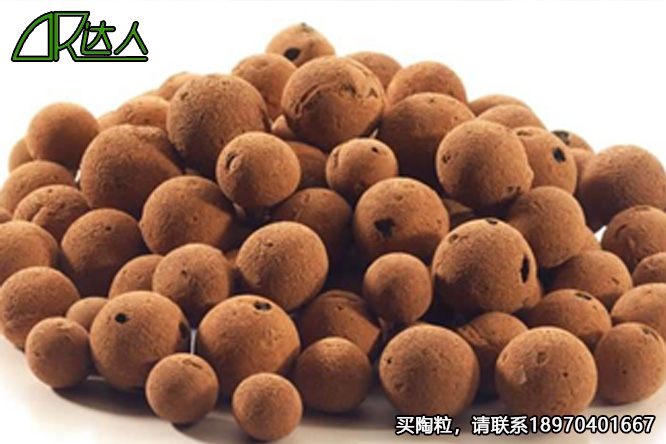 撫州陶粒_撫州陶粒批發(fā)_衛(wèi)生間回填陶粒 撫州陶粒_撫州陶粒批發(fā)_衛(wèi)生間回填陶粒