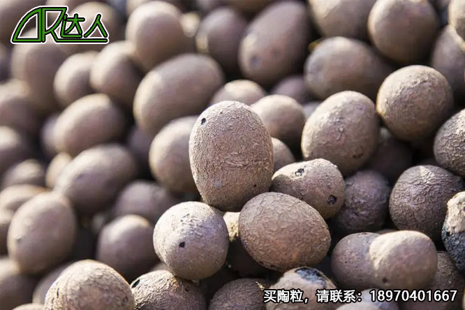 建筑陶粒、回填陶粒